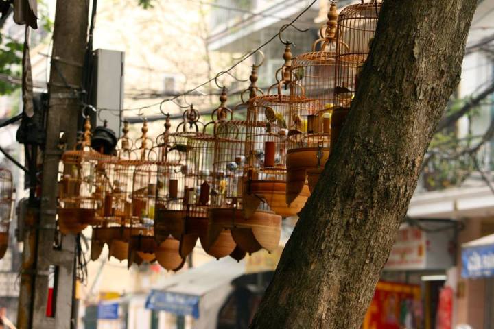 12961692_10153690033551871_1138167280024266963_n